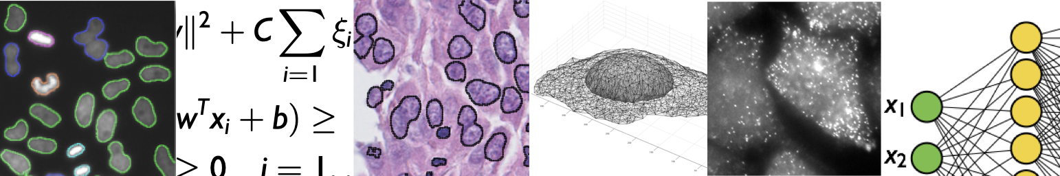 Bioimage analysis